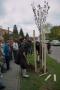i �t�p�nka Fra�kov� a Lea Tomkov� vzaly lopaty do rukou