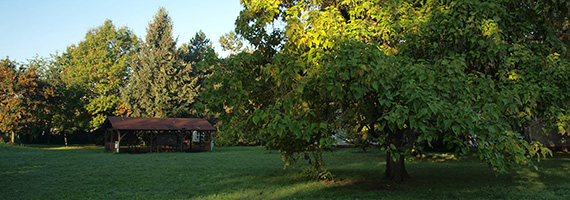 Zelená učebna