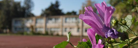 Podzim ve Studánce
