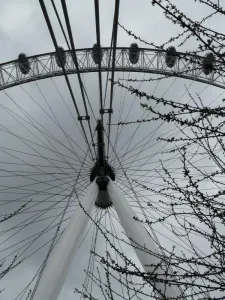 L.EYE
