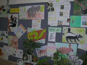 Projekt - Podnebné pásy
