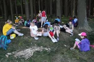 studijní les