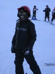 img 0634