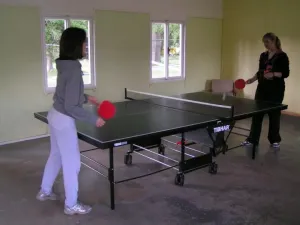 partička pingpongu