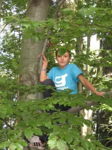 lezení na stromy