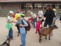 Kontaktní ZOO