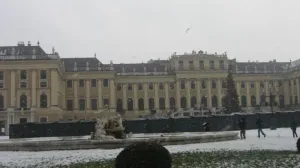 img 1019