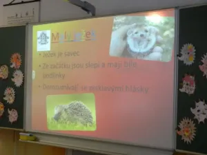 Prezentace plná zajímavostí