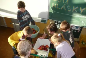 …a nasypeme je do drtiče.