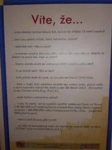 tak, víte to?