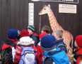 zoo 3