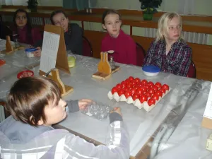 fb3fa7462eee4855881efc3fc089a422.webp