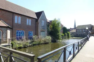15 salisbury