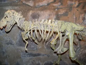 096