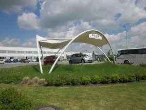 Zajímaví krasavci byli skryti za nimi