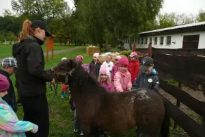prohlizime konicka 1. d