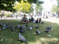 6 St. James park