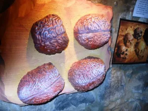 dscn2307