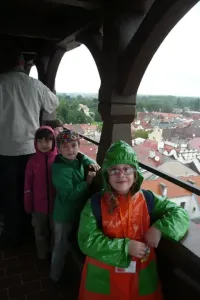 Zelená brána