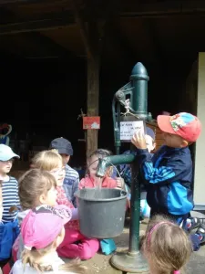 1. B