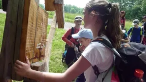 Krakonošovy rady