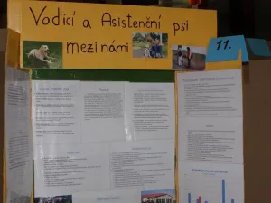 projekt děvčat 01