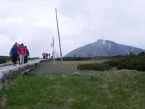Úpské rašeliniště