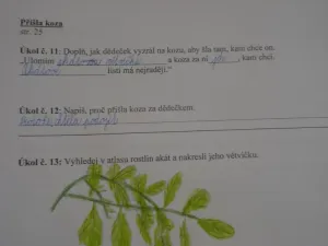 Plnění úkolů