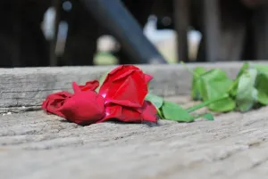 Auschwitz - Birkenau