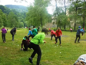Hledáme brouky