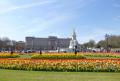 1 buckingham palace
