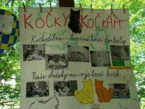 začalo to výstavou koček