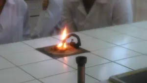 tento se povedl