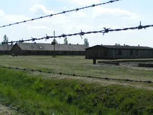 brezinka02