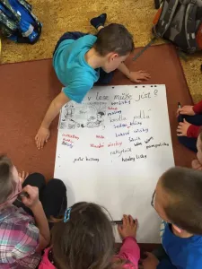 Jak se mají živit a co je pro ně nebezpečné.