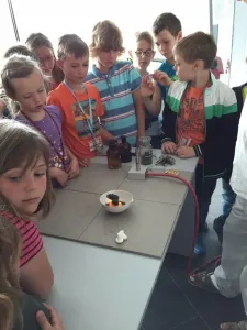 had leze z díry...