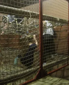 b2f630d76048930023f2cbf235ec7ddd.webp