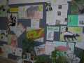 Projekt - Podnebné pásy