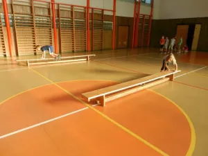 Tělesná výchova