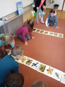 Třídíme živočichy.