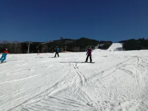 img-20170227-112217-2
