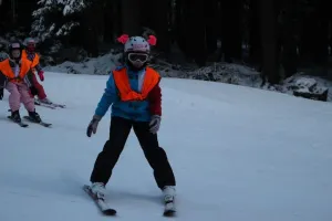 To ještě není karneval.