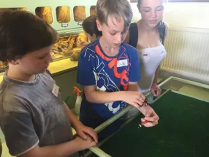 Ekoprogram v zoo