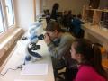 img-2389