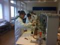img-2409
