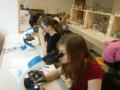 dsc-0234-1-