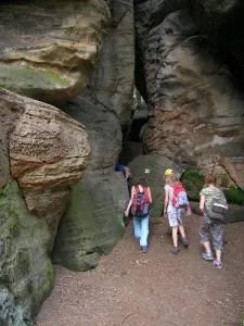 ve skalním bludišti (Chléviště)