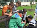 img-6465