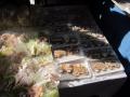 img-8045