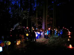 očekávání sv.Martina